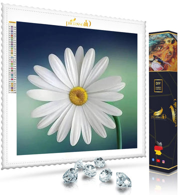 Diamond Painting - Gänseblümchen Blume