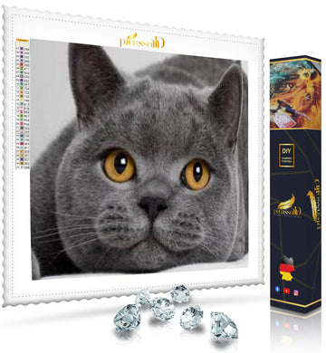 Diamond Painting - Schmuse Katze