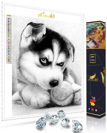 Diamond Painting - Hundewelpe mit Baseball