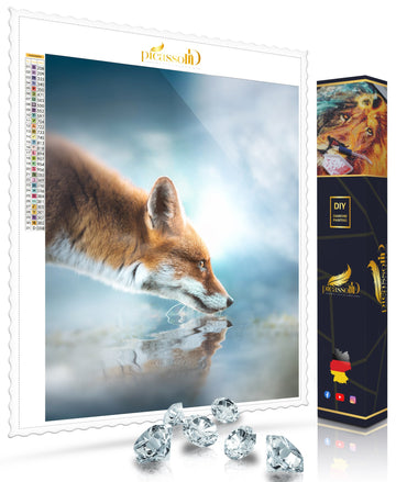 Diamond Painting - Bewacher der Quelle