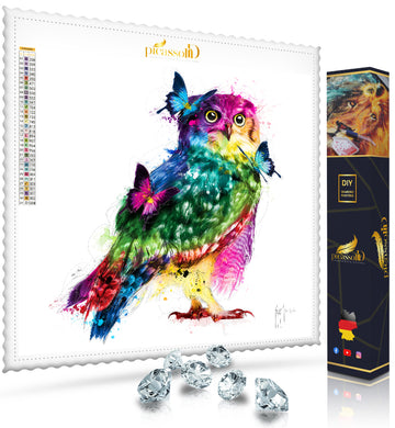 Diamond Painting - Selbstbewusste Eule 50x55 cm