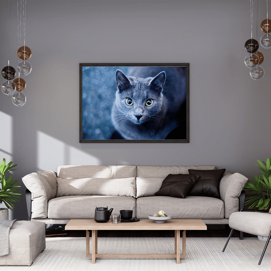 Diamond Painting - Katze der Nacht